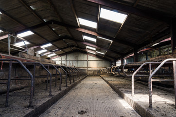 An empty cattle feeding shed. No animals due to food production problems caused by the worldwide coronavirus pandemic. Farmers losing money and livelihood due to the recession. Bankrupt farming  © dannyburn
