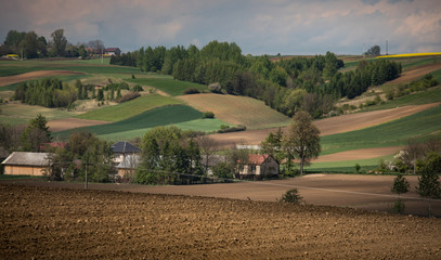 Fototapeta na wymiar pola wieś 