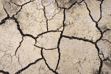 Drought, dried ground, environmenntal disasterno water, lack of moisture.