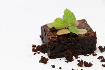 Chocolate brownie with almond isolate on white background