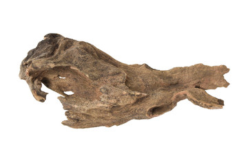 Driftwood or aged wood isolated on white background with clipping path. Closeup piece of driftwood for aquarium.