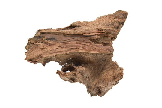 Driftwood or aged wood isolated on white background with clipping path. Closeup piece of driftwood for aquarium.