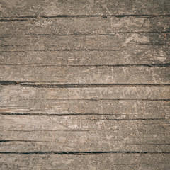 Close-up Wood texture of cut tree trunk, old log background

