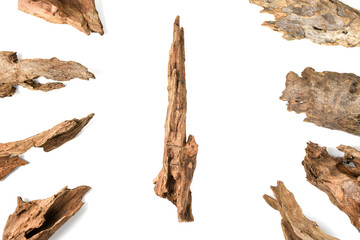 Driftwood or aged wood arrange in a circle isolated on white background.