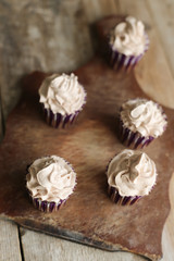 chocolate cupcakes with chocolate frosting	