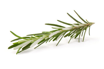 Fototapeta premium Twig of rosemary, isolated on white background