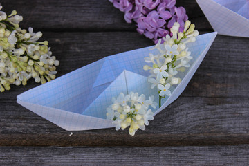 Paper boat with lilac