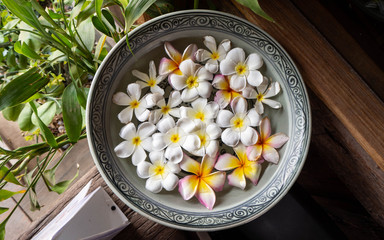 Flowers in a cup of water