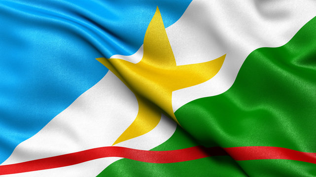 3D illustration of the Brazilian state flag of Roraima waving in the wind.