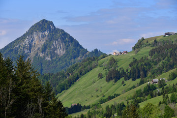 Fototapeta na wymiar Landschaft in Gersau