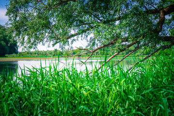 Wanderung am Donauufer um die Gstüt Insel mit Blick auf Straubing und die Skyline 