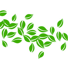 Falling green leaves. Fresh tea neat leaves flying