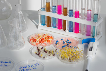 Herbicide-treated corn, suflowers, chick-pea seeds in a Petri dish and sprouted seeds on a table with a dispenser and test tubes