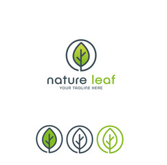 Nature leaf logo template