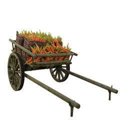 Harvest carrots in a cart