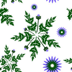 Seamless pattern on white background, seamless pattern with Thistle flowers. Pattern of flowers.