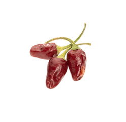 Dried red chili or chilli cayenne pepper isolated on white background cutout