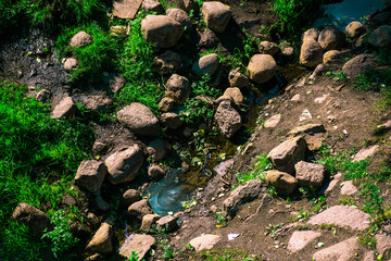 A small creek overgrown with mud and green grass is close
