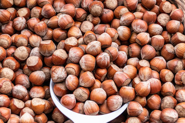 organic hazel nuts at a farmers market