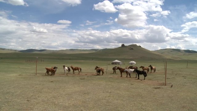 Mongolian landscapes and heatlands with wild horses and shamanic sanctuaries.