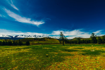 Fototapeta na wymiar Snowy ridge. Altai mountains. Siberia. beautiful valley with green grass and mountains