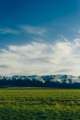 Fototapeta premium Snowy ridge. Altai mountains. Siberia. beautiful valley with green grass and mountains