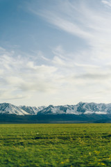 Fototapeta premium Snowy ridge. Altai mountains. Siberia. beautiful valley with green grass and mountains