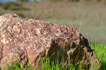 Fototapeta na wymiar rock in grass
