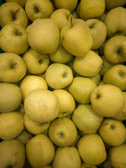 A walk in the garden!