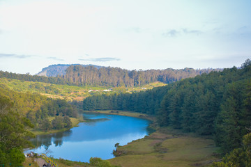 Fototapeta na wymiar autumn landscape with lake ooty india
