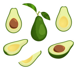 Fresh avocado illustration set. Stock vector. Whole avocado with leaves, half and slice avocado. Isolated on white background.