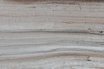 Fototapeta na wymiar texture and background section of a tree. Wooden Board closeup