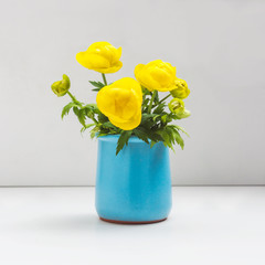 Yellow buttercups bouquet in blue potty