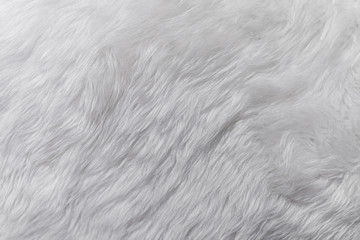 Picture of white sheepskin fur texture background