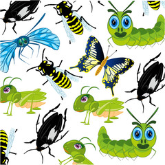 Insect decorative pattern on white background is insulated