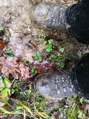 Obraz premium Wanderschuhe im Matsch im Frühling