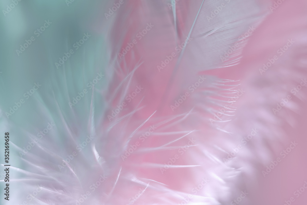 Poster exotic texture feathers background close up. pink and aquamarine feathers pattern for your design. m