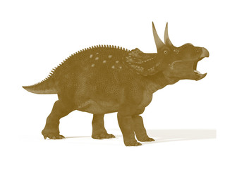 Dinosaur Diceratops isolated on white background