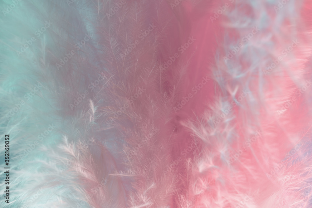 Aufkleber exotic texture feathers background close up. pink and aquamarine feathers pattern for your design. m