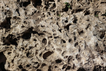 stone wall texture