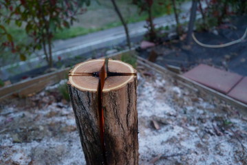 Enjoy the Swedish torch at the camp