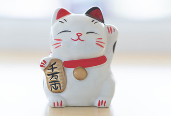 Maneki neko lucky cat show text on hand meaning rich on table, select focus