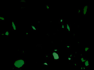 Beautiful abstract color yellow and green marble on black background and gray and green granite tiles floor on green background, love gray wood banners graphics, art mosaic decoration