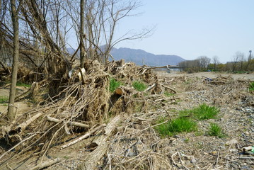 Flood damage caused by Typhoon No.19 