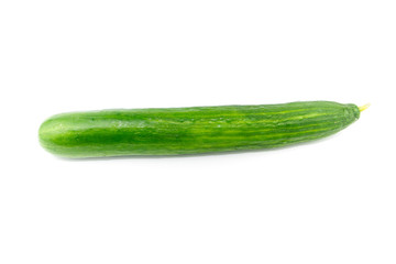 Frische und Reife Salatgurke