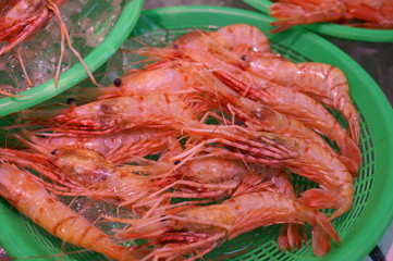 Shrimp for sale in the Japanese fish market