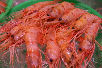 Shrimp for sale in the Japanese fish market