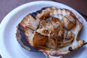 Scallops sold at Japanese fish market