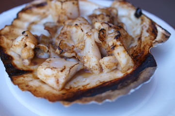 Scallops sold at Japanese fish market
