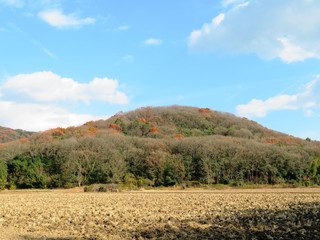 日本の田舎の風景　12月　初冬の山の木々　裸木と青空